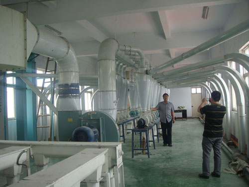 10吨/ D棉籽榨油机